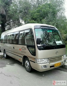 全方位出行解決方案 從自駕租車到專業(yè)包車服務(wù)